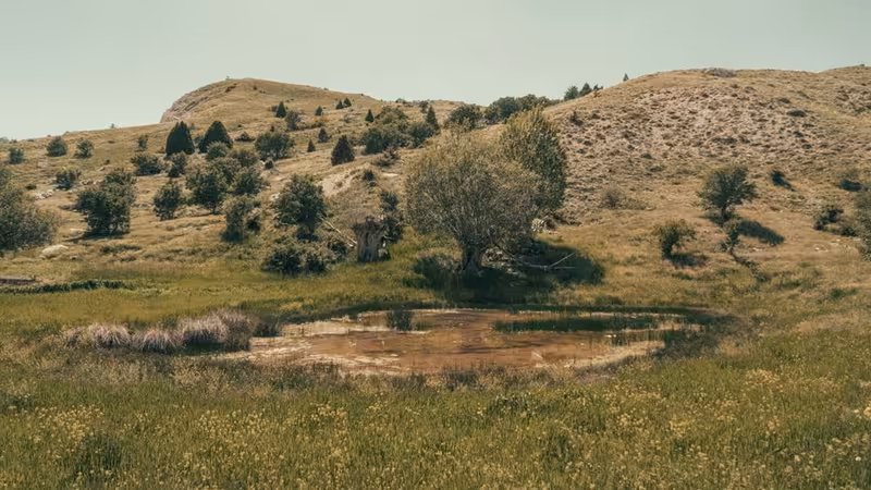 Erzincan Üzümlü Gercek Ilanlar