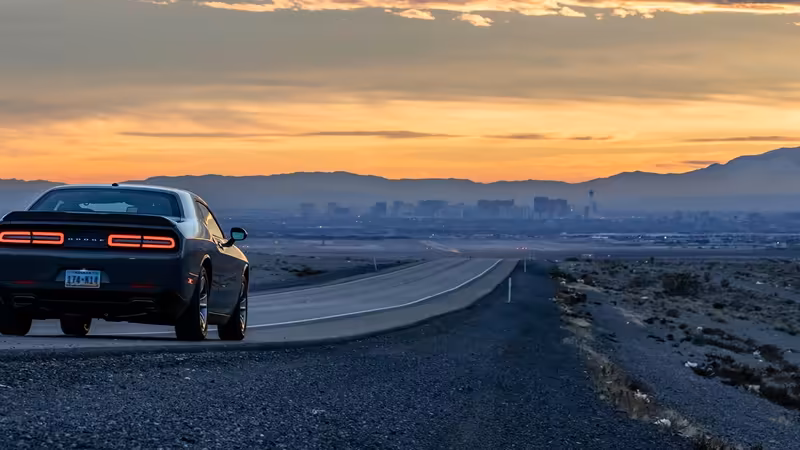 Erzurum VIP Escort Secenekleri