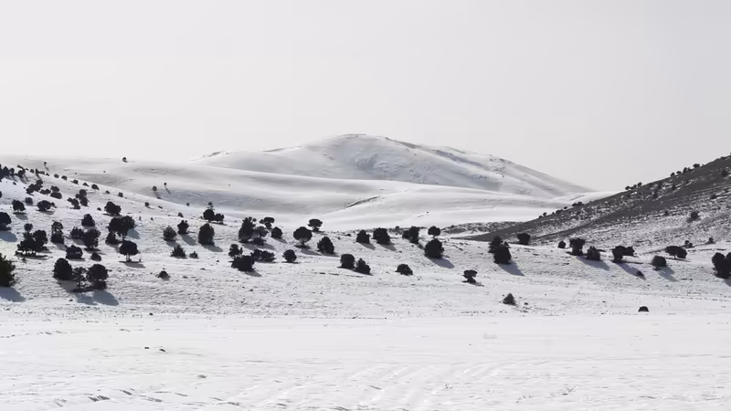 Erzurum Palandöken Kaliteli Ilanlar