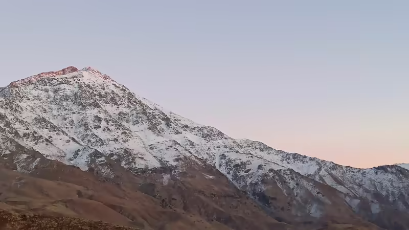 Erzurum Şenkaya'da Evcil Hayvan Dostu Oteller ve Konaklama Kuralları