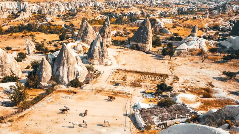 Erzurum Gunluk Bayan