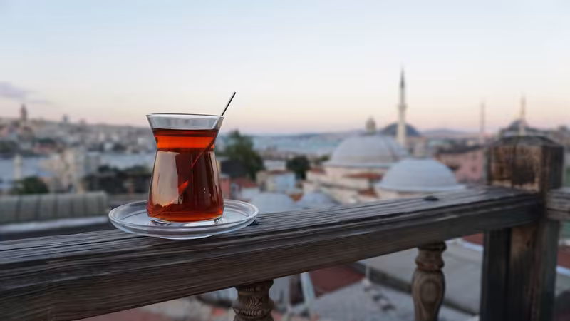 Erzurum Tortum Escort Gorusmesinde Anlastigimiz Ucret Degisti Ne Yapmaliyim
