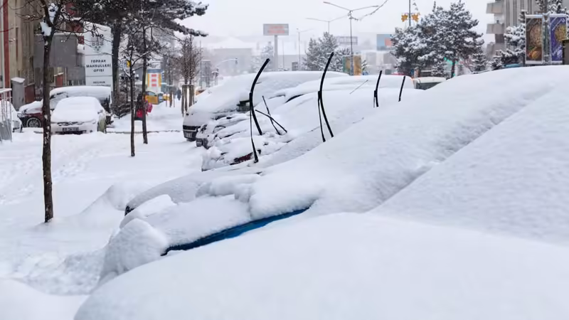 Erzurum Yakutiye Ozel Escort Profilleri