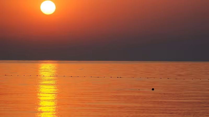 Espiye'da Yabancıların Gayrimenkul Satın Alma Prosedürleri - Giresun