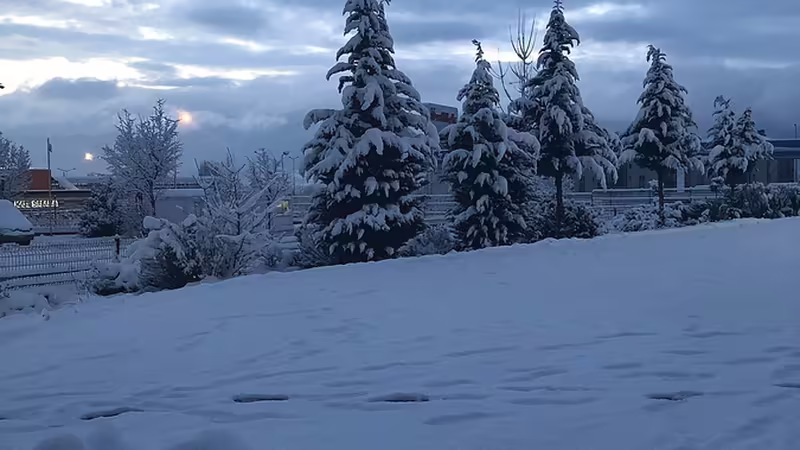 Genç'da Toplu Taşıma Rehberi ve Ulaşım Kartı Nasıl Alınır - Bingöl