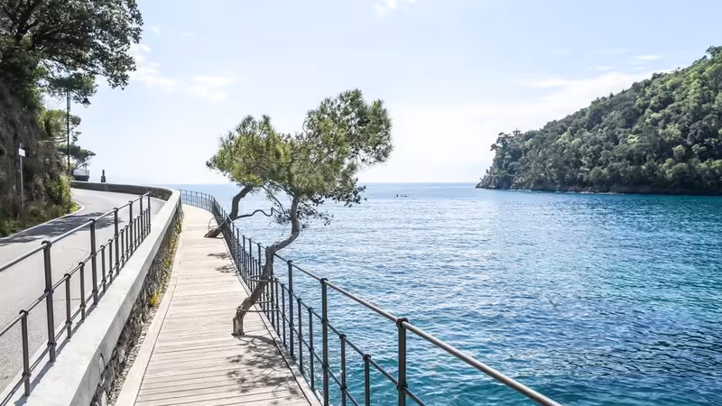 Giresun Alucra Gunluk Eskort