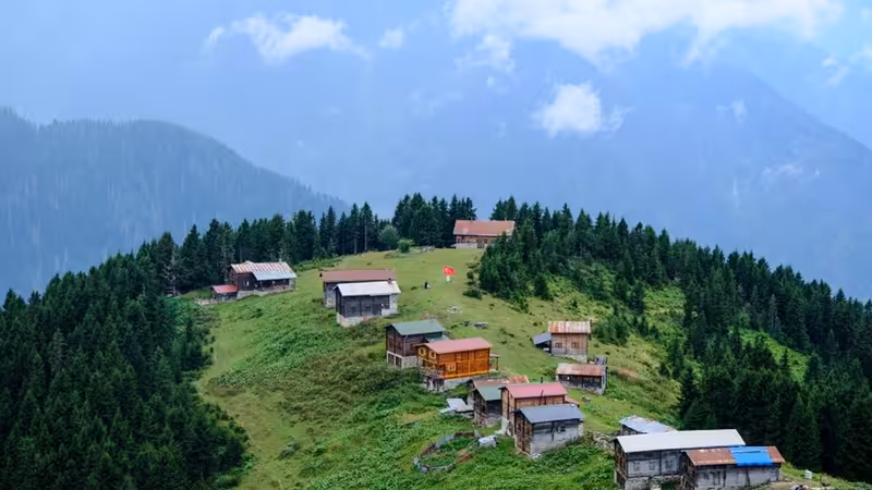 Giresun Çamoluk Escort Puanlama Sistemi