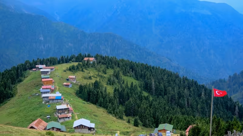 Giresun Çamoluk Ozel Ilanlar