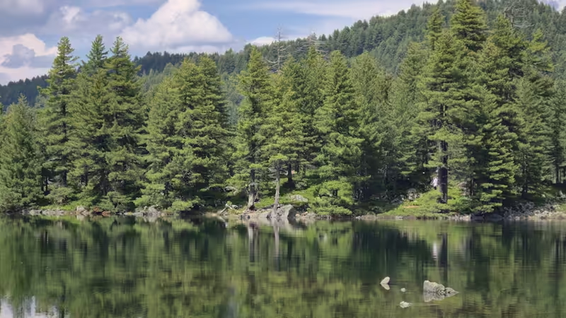 Giresun Çamoluk'da Aileler İçin En İyi Uluslararası Okullar ve Kolejler