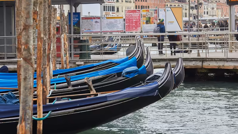 Giresun Espiye Gercek Ilanlar