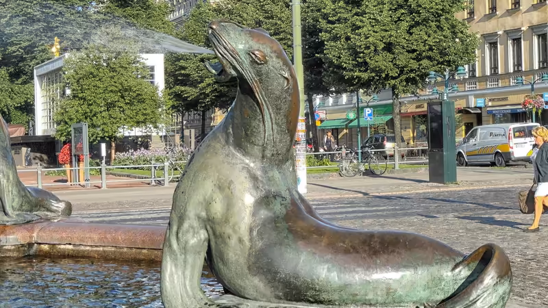 Giresun Güce Otopark Bolgeleri