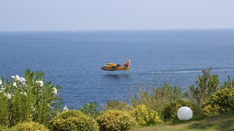 Giresun Tirebolu Gercek Ilanlar