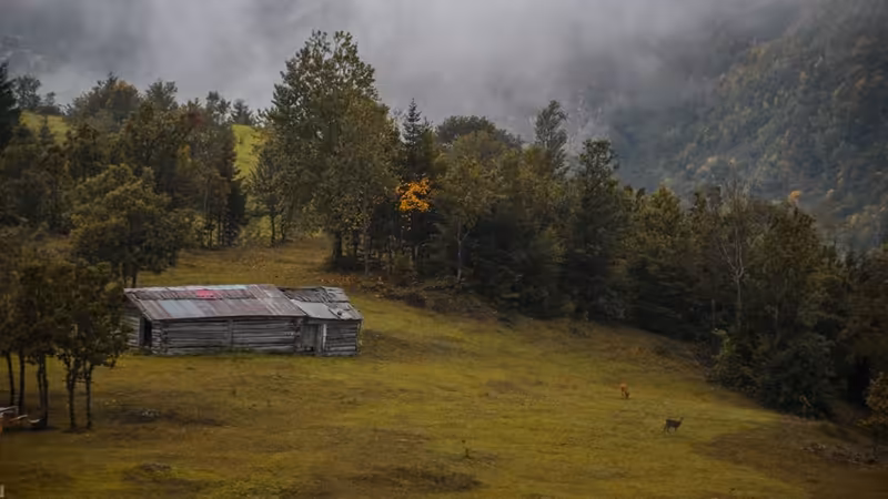 Giresun Yağlıdere 30 Dakikalik Escort Bulusmasi
