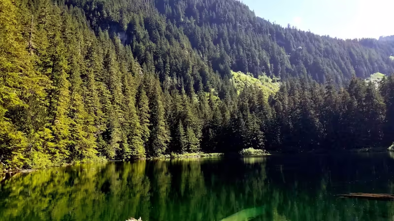 Gümüşhane Kürtün'da Yılbaşı, Yeni Yıl ve Resmi Tatil Kutlamaları Nasıl Yaşanır