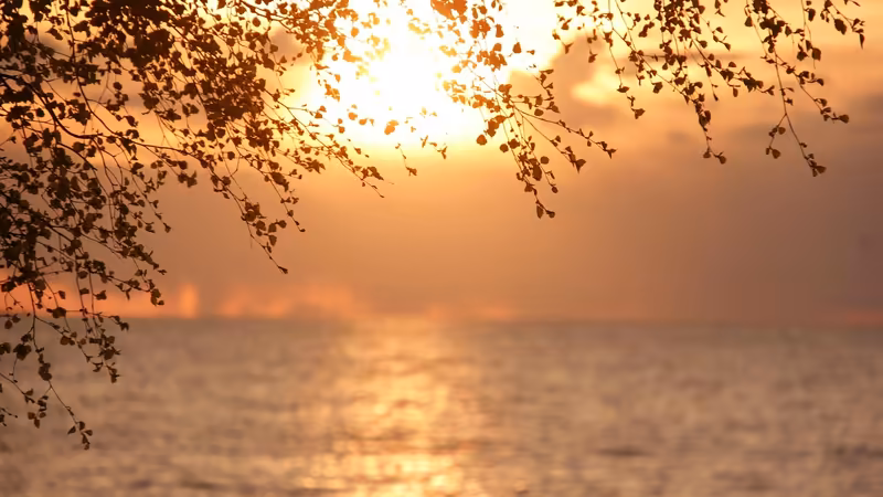 Gümüşhane Merkez Gece Acik Mekanlar