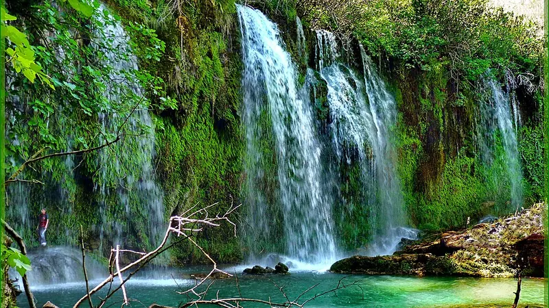 Gürgentepe'da Canlı Müzik Olan Mekanlar - Ordu