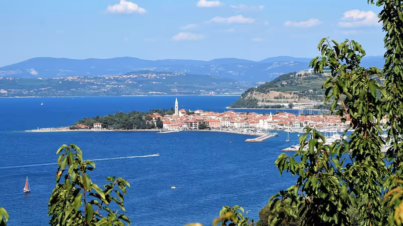 Hakkari Çukurca Otellere Gelen Escort