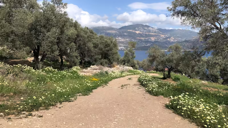 Hakkari Merkez'da Erasmus ve Uluslararası Öğrenci Olmak