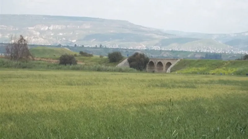 Harmancık ve Çevresindeki Şarap ve Bira Tadım Rotaları - Bursa