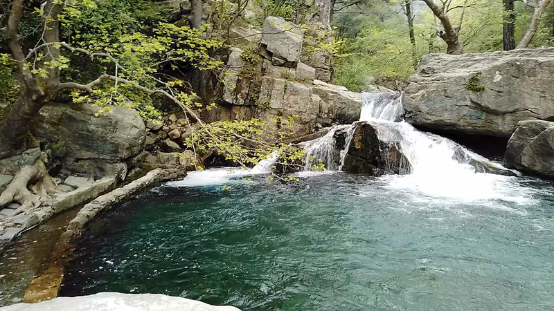 Hasköy'da Güne Başlamak İçin En İyi Kahvaltı ve Brunch Mekanları - Muş