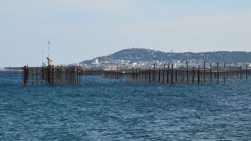 Iğdır Aktif Eskort