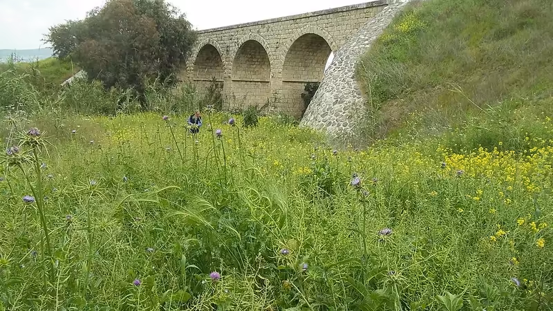 İhsangazi'da En Hızlı Büyüyen İş Sektörleri ve Kariyer Fırsatları - Kastamonu