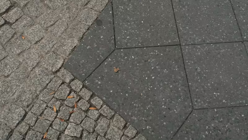 Isparta Yalvaç Gunluk Kiralik Bolgeler