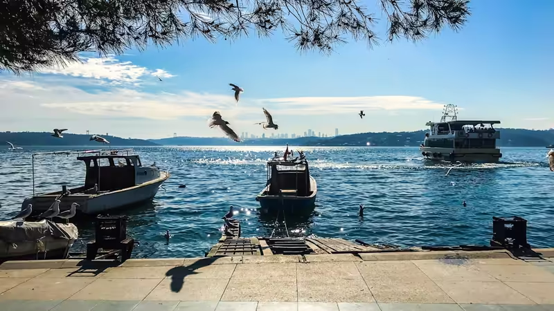 İstanbul Beykoz WhatsApp Escort