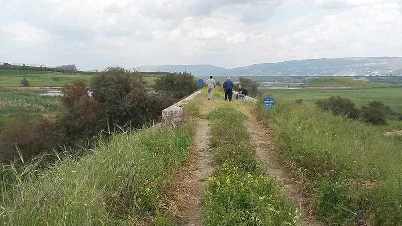 Kahramanmaraş'da Canlı Müzik Olan Mekanlar