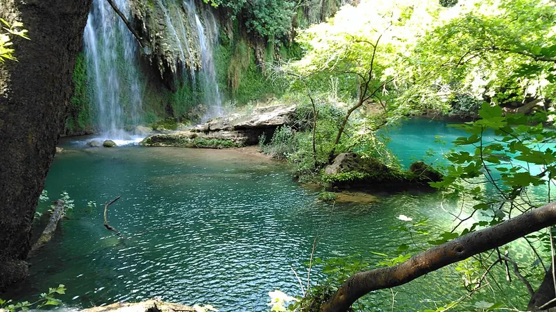 Iğdır'da Canlı Müzik Olan Mekanlar