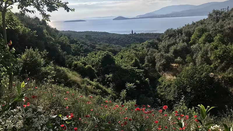 Erdek'da Gece Kulübü Önerileri ve Rehberi - Balıkesir