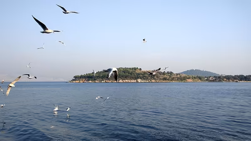 Marmara'da Gece Dışarı Çıkarken Dikkat Edilmesi Gerekenler - Balıkesir