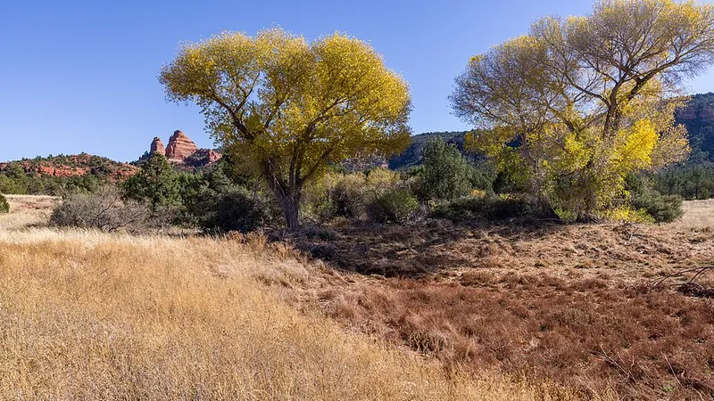 Iğdır'da Hafta Sonu Gece Planı Nasıl Yapılır