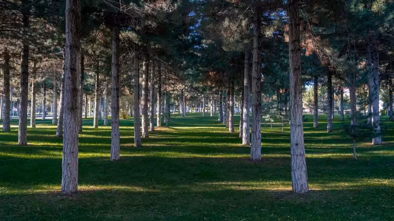 İstanbul Kağıthane'da Sağlık Hizmetleri Maliyetleri ve Sigorta