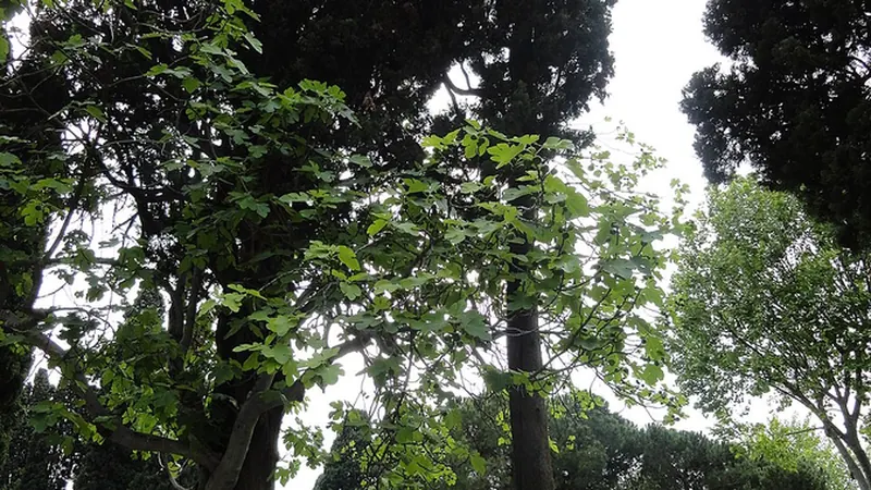 Bartın'da Özel Davet ve Organizasyon Mekanları