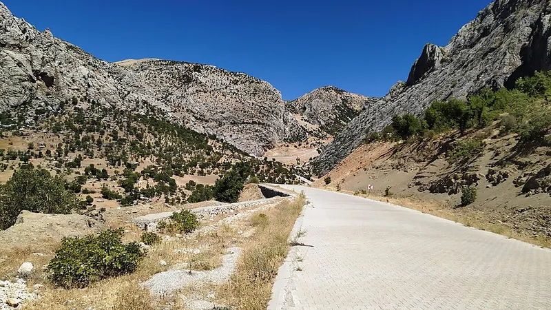 Van'da Özel Şoförlü Araç Kiralama Rehberi