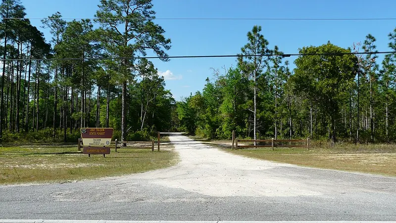 Mardin'da Suit Oda ve Özel Konaklama Seçenekleri