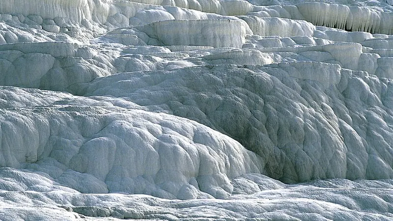 Artvin'da VIP Hizmet Sunan Mekanlar