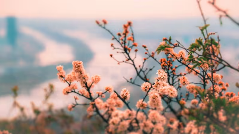 İzmir Balçova Gercek Bayan Bul