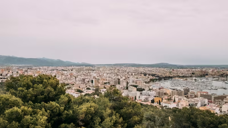 İzmir Bayraklı Populer Caddeler