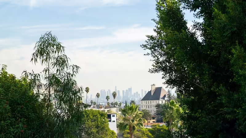 İzmir Bornova Gunduz Escort