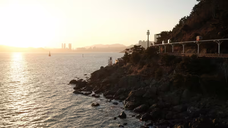 İzmir Misafir Bayan