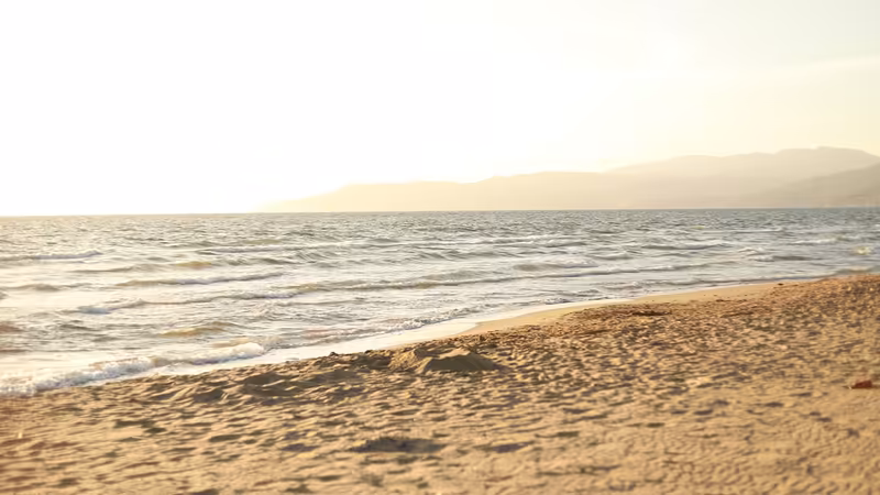 İzmir Buca Fit Bedenli Escort Bayanlar