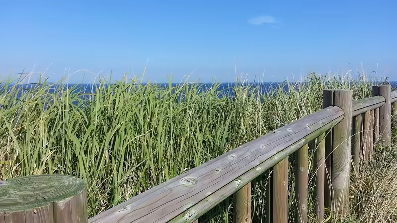 İzmir Kınık Escort Sitelerinde Uyelik Guvenli Mi