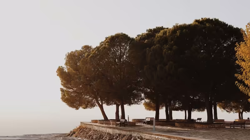 İzmir Kiraz Aksam Yemegi Bolgeleri