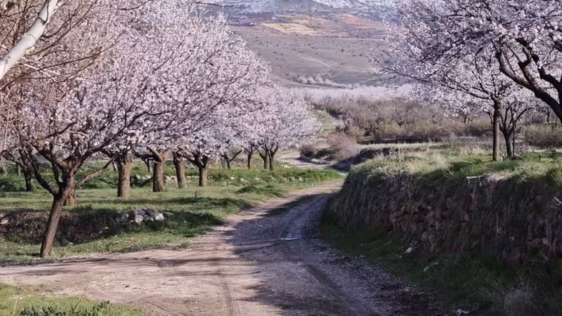 İzmir Narlıdere'da Şehirlerarası Tren Garı ve Otobüs Terminaline Ulaşım