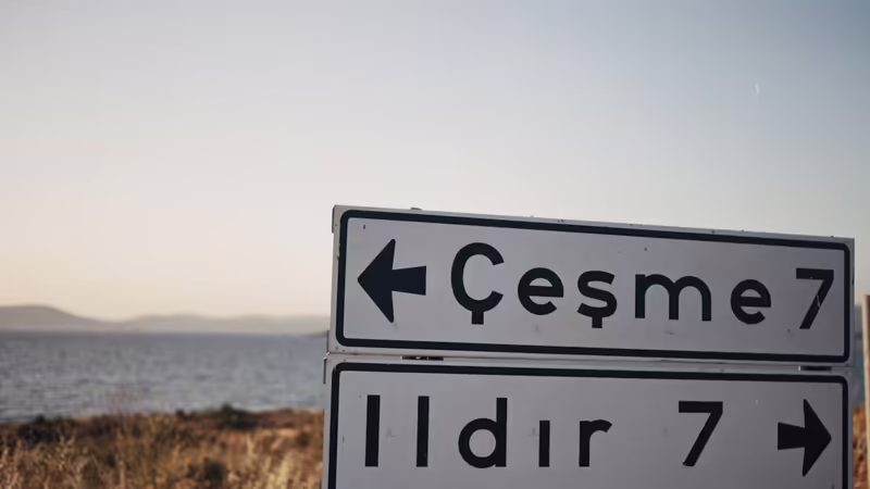 İzmir Ödemiş Olgun Bayan
