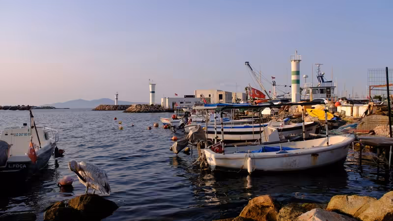 İzmir Seferihisar Ogretmen Profili Escort