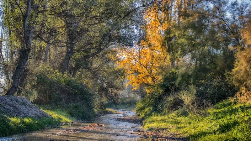 Kahramanmaraş Merkezde Eskort