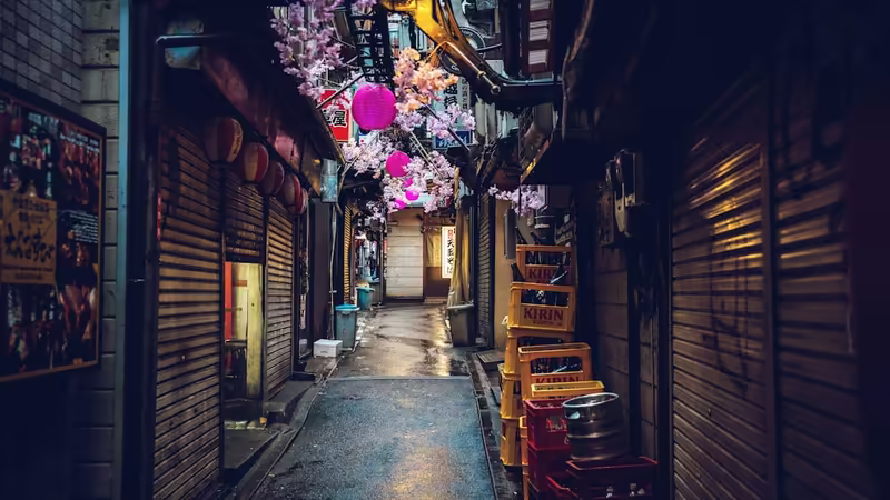 Kahramanmaraş Ekinözü Gece Elit Escort
